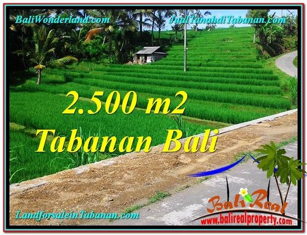FOR SALE Exotic PROPERTY 2,500 m2 LAND IN TABANAN BALI TJTB305