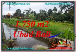 715 m2 LAND FOR SALE IN UBUD BALI TJUB557
