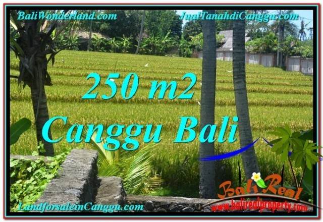 Magnificent LAND FOR SALE IN Canggu Pererenan BALI TJCG207