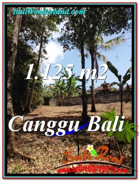 FOR SALE Exotic LAND IN Canggu Pererenan TJCG208