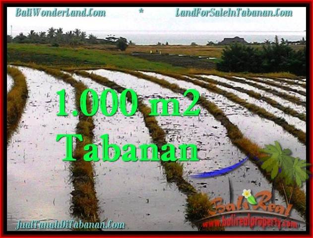 Beautiful PROPERTY 1,000 m2 LAND IN Tabanan Selemadeg FOR SALE TJTB261