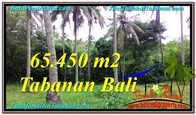 Beautiful TABANAN BALI 65,450 m2 LAND FOR SALE TJTB290