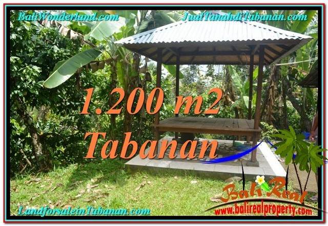 Beautiful PROPERTY 1,200 m2 LAND IN Tabanan Penebel FOR SALE TJTB294