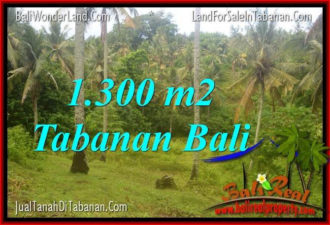 Magnificent PROPERTY 1,300 m2 LAND IN TABANAN BALI FOR SALE TJTB314