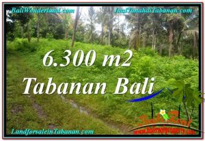 Exotic PROPERTY LAND FOR SALE IN TABANAN BALI TJTB313