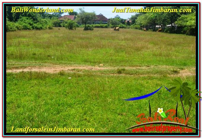 Beautiful PROPERTY 8,000 m2 LAND FOR SALE IN Jimbaran Ungasan TJJI109