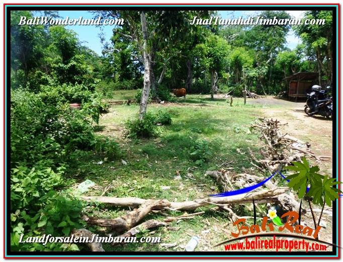 Affordable PROPERTY LAND FOR SALE IN Jimbaran Ungasan BALI TJJI105