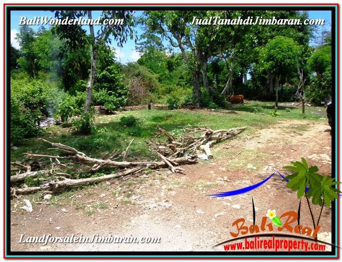 Affordable PROPERTY LAND FOR SALE IN Jimbaran Ungasan BALI TJJI105