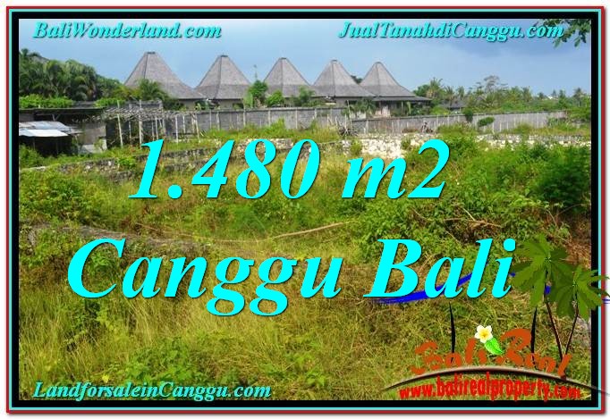 LAND FOR SALE IN Canggu Pererenan TJCG212