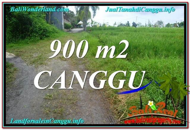Magnificent PROPERTY Canggu Batu Bolong BALI LAND FOR SALE TJCG215