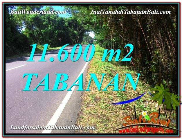 Affordable Tabanan Selemadeg BALI 11,600 m2 LAND FOR SALE TJTB327