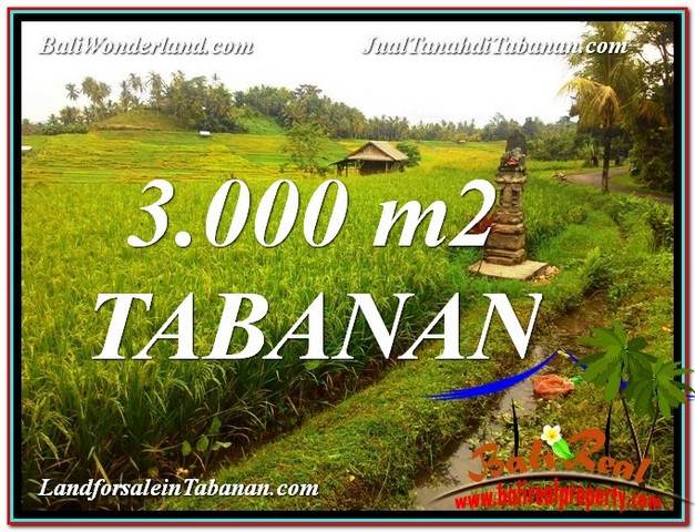 Magnificent PROPERTY LAND FOR SALE IN TABANAN BALI TJTB328