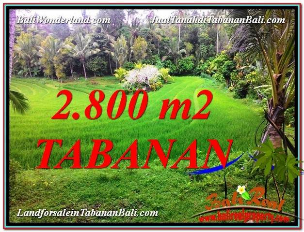 Beautiful PROPERTY LAND IN TABANAN BALI FOR SALE TJTB333