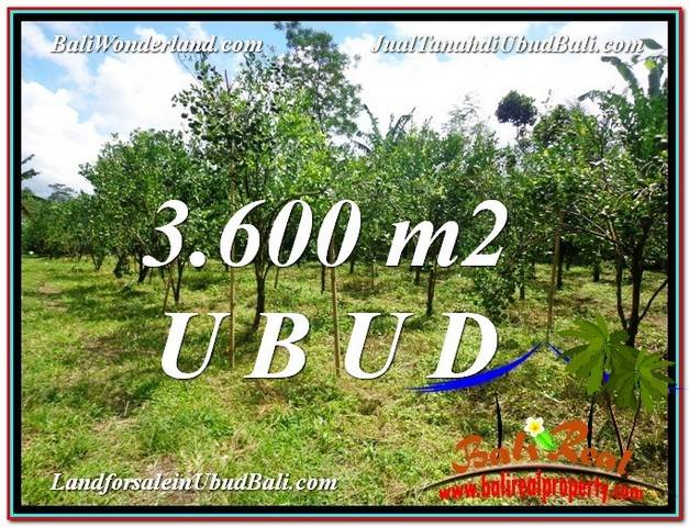 Exotic PROPERTY Ubud Tegalalang 3,600 m2 LAND FOR SALE TJUB599