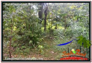 LAND SALE IN JIMBARAN TJJI118