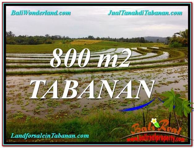 Beautiful LAND IN Tabanan Selemadeg BALI FOR SALE TJTB324