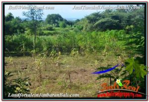 Exotic PROPERTY LAND SALE IN Jimbaran Uluwatu BALI TJJI113