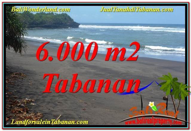 Exotic PROPERTY 6,000 m2 LAND FOR SALE IN Tabanan Selemadeg BALI TJTB345