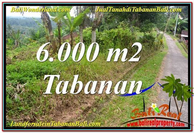 Exotic Tabanan Selemadeg LAND FOR SALE TJTB349
