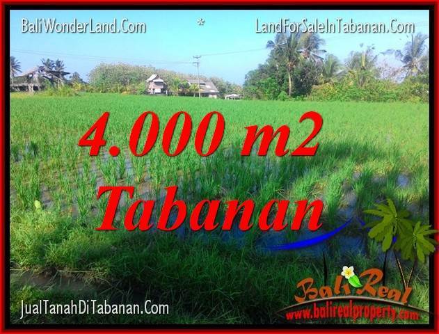 Exotic PROPERTY 4,000 m2 LAND IN TABANAN FOR SALE TJTB352