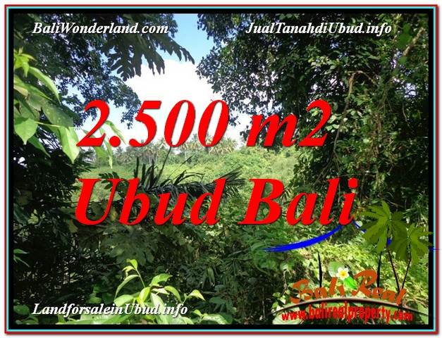 2,500 m2 LAND FOR SALE IN UBUD BALI TJUB605