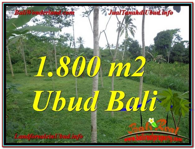 Magnificent PROPERTY 1,800 m2 LAND SALE IN UBUD BALI TJUB610
