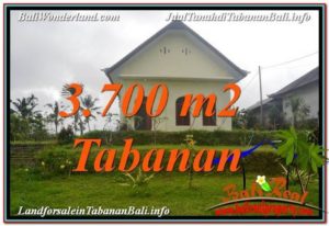 FOR SALE Exotic LAND IN Tabanan Penebel BALI TJTB336