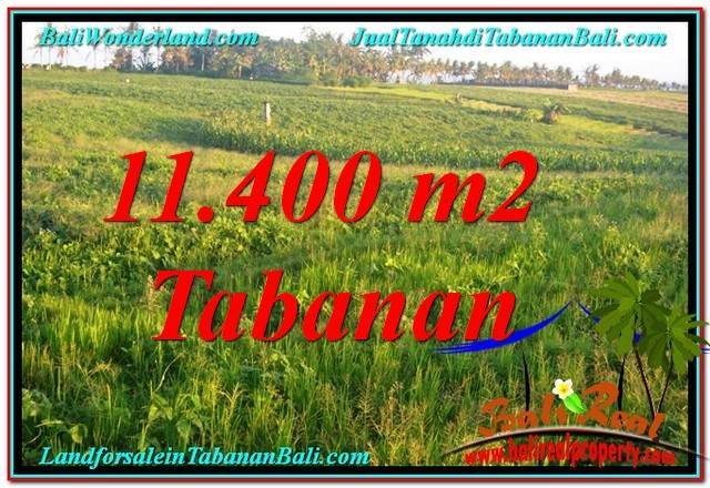 FOR SALE Magnificent PROPERTY 11,400 m2 LAND IN TABANAN TJTB339