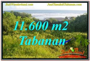 FOR SALE Affordable PROPERTY 11,600 m2 LAND IN Tabanan Selemadeg TJTB340