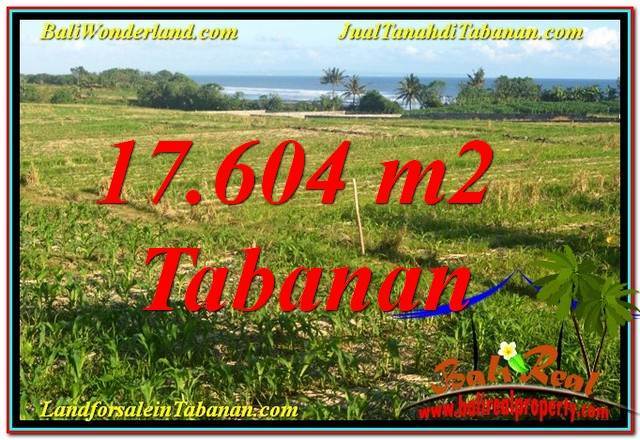 Exotic PROPERTY 17,604 m2 LAND IN TABANAN FOR SALE TJTB342