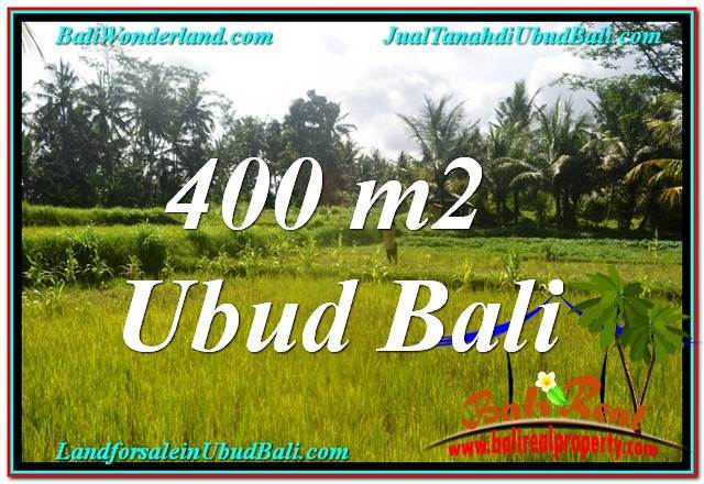 Beautiful PROPERTY 400 m2 LAND SALE IN Ubud Pejeng TJUB627