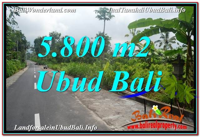Beautiful PROPERTY LAND FOR SALE IN UBUD BALI TJUB637