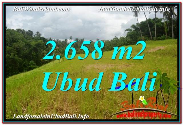 Affordable UBUD BALI 2,658 m2 LAND FOR SALE TJUB641