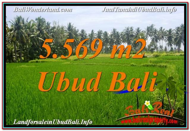 Exotic LAND SALE IN Sentral / Ubud Center BALI TJUB642