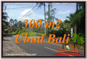 Magnificent 300 m2 LAND IN UBUD BALI FOR SALE TJUB646