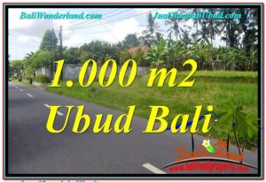 Affordable PROPERTY 1,000 m2 LAND IN Sentral / Ubud Center FOR SALE TJUB649