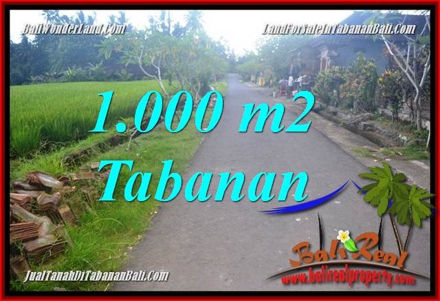 Beautiful 1,000 m2 LAND IN Tabanan Selemadeg Timur FOR SALE TJTB363