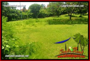 Affordable LAND IN Jimbaran Ungasan FOR SALE TJJI120