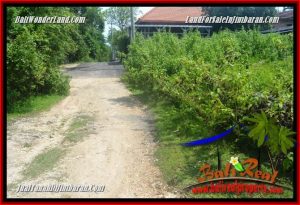 Magnificent PROPERTY 1,000 m2 LAND SALE IN Jimbaran Ungasan BALI TJJI123