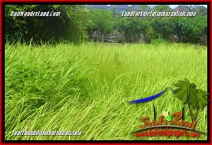 Beautiful 900 m2 LAND IN JIMBARAN BALI FOR SALE TJJI124