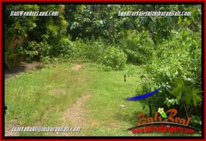 Exotic Jimbaran Ungasan LAND FOR SALE TJJI125