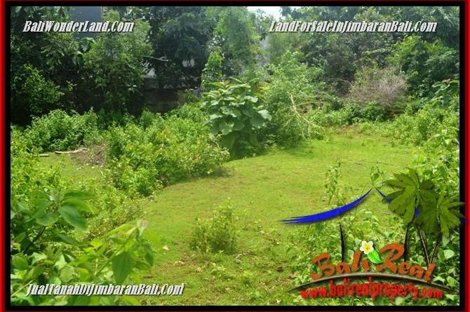 Exotic Jimbaran Ungasan LAND FOR SALE TJJI125