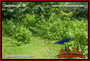 Exotic Jimbaran Ungasan LAND FOR SALE TJJI125