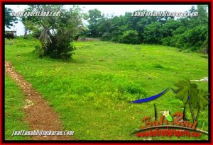 Beautiful 7,500 m2 LAND SALE IN Jimbaran Uluwatu TJJI126