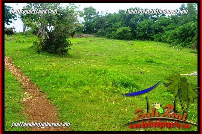 Beautiful 7,500 m2 LAND SALE IN Jimbaran Uluwatu TJJI126