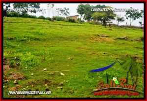 Beautiful 7,500 m2 LAND SALE IN Jimbaran Uluwatu TJJI126