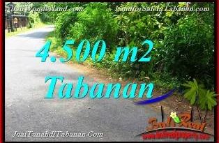 Bali Property Investment, LAND FOR SALE IN TABANAN, LAND IN TABANAN FOR SALE, LAND FOR SALE IN TABANAN Bali, Property for sale in TABANAN, Property in TABANAN for sale, LAND FOR SALE IN BALI, Land in Bali for sale, PROPERTY FOR SALE IN BALI