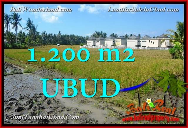 Magnificent PROPERTY Sentral Ubud 1,200 m2 LAND FOR SALE TJUB663