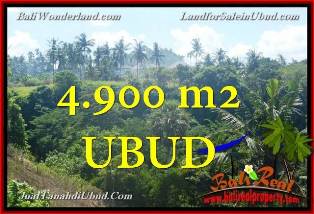 Beautiful PROPERTY LAND SALE IN UBUD TJUB665