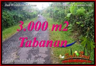 FOR SALE Exotic PROPERTY 3,000 m2 LAND IN Tabanan Selemadeg BALI TJTB366